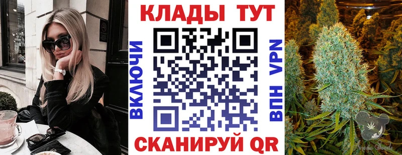Где найти наркотики Пошехонье ГАШИШ МЕТАДОН Codein Меф мяу мяу