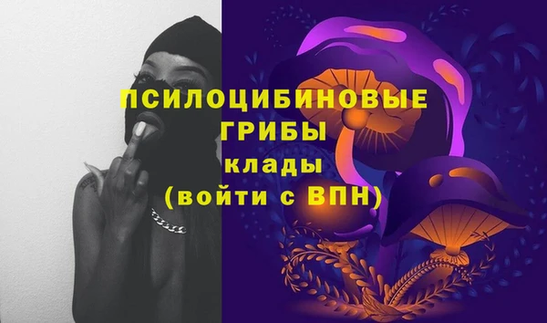 амф Абинск