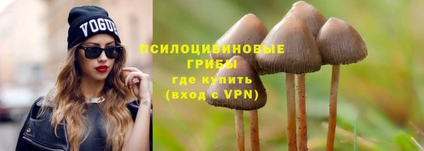 МДПВ Алзамай