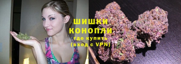 индика Елизово