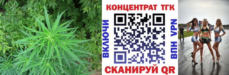 MEGA как зайти  цены   Пошехонье  ТГК THC oil 