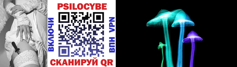 Псилоцибиновые грибы Psilocybe Пошехонье