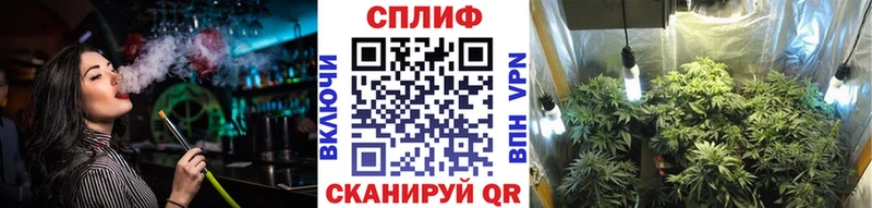 Марихуана тримм  закладки  Пошехонье 